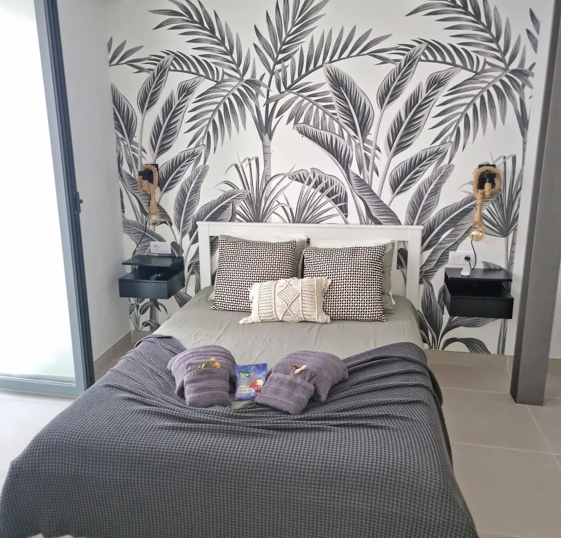 Apartment Palmet Suite Isabel By Best Holidays Fuerteventura Corralejo